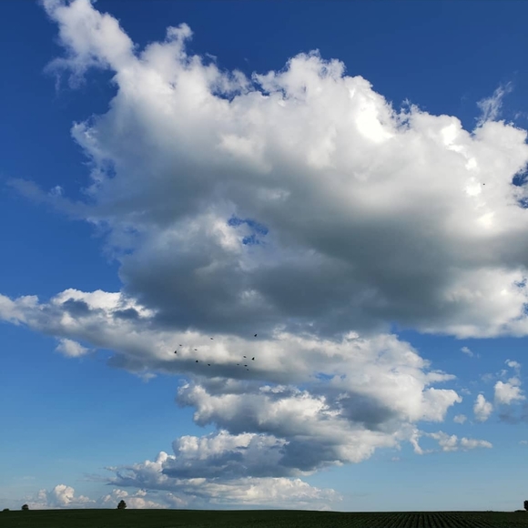 Meet your Posher, Jess - Picture 3 of 6